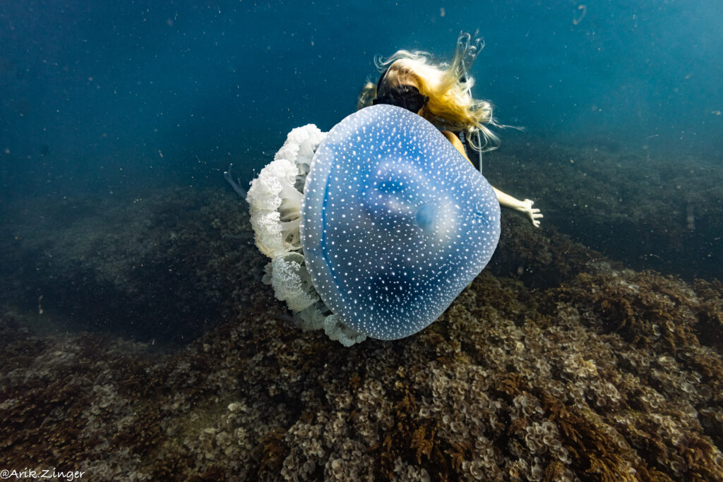 תמונה של צוללת עם מדוזה