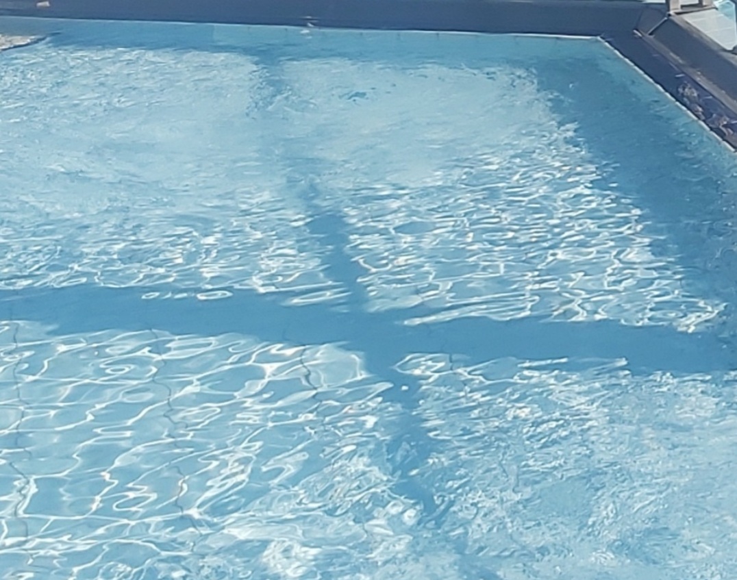 תמונה של בריכה