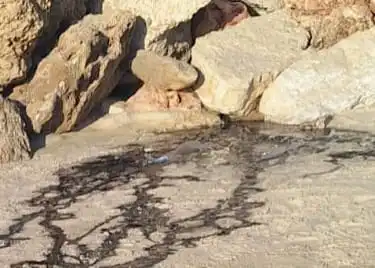 תמונה של הביוב זורם בחוף