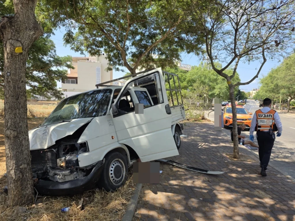 תמונה של הרכב בתוך העץ