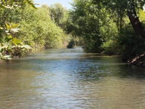 טיול מים קסום לכל המשפחה. נחל חרמון