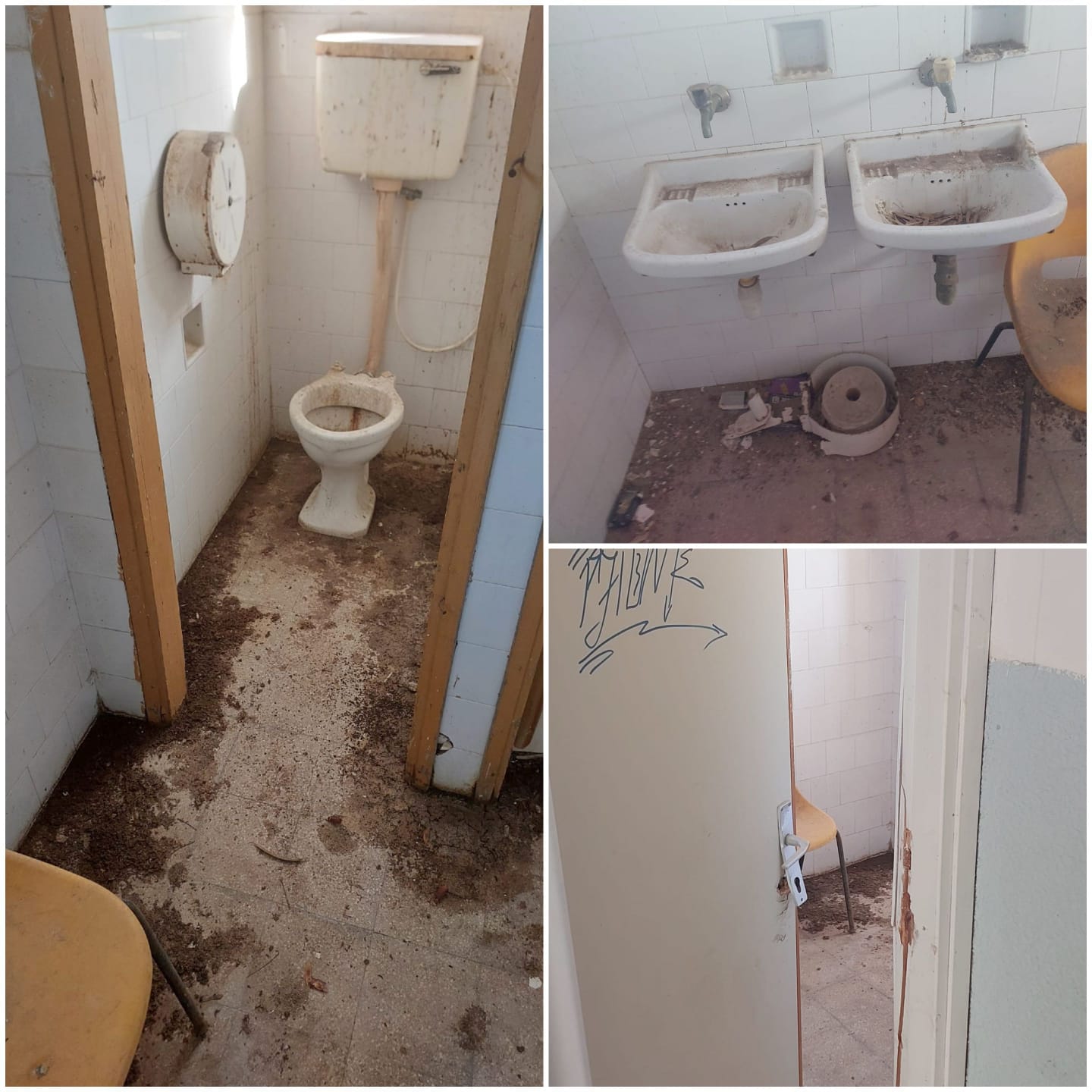 תמונות מבישות ממצב המבנה בשורשים