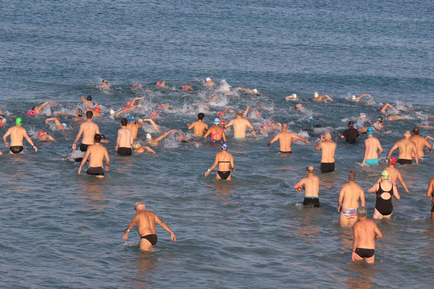 תמונה של שחיינים במשחה נכנסים לים בתחילת המשחה