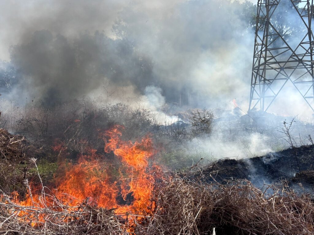 צילום השריפה