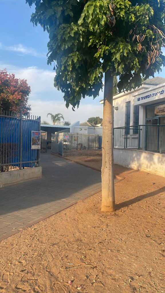 צילום מתחם הגנים