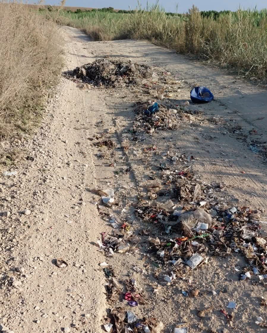 צילום האשפה שנשפכה