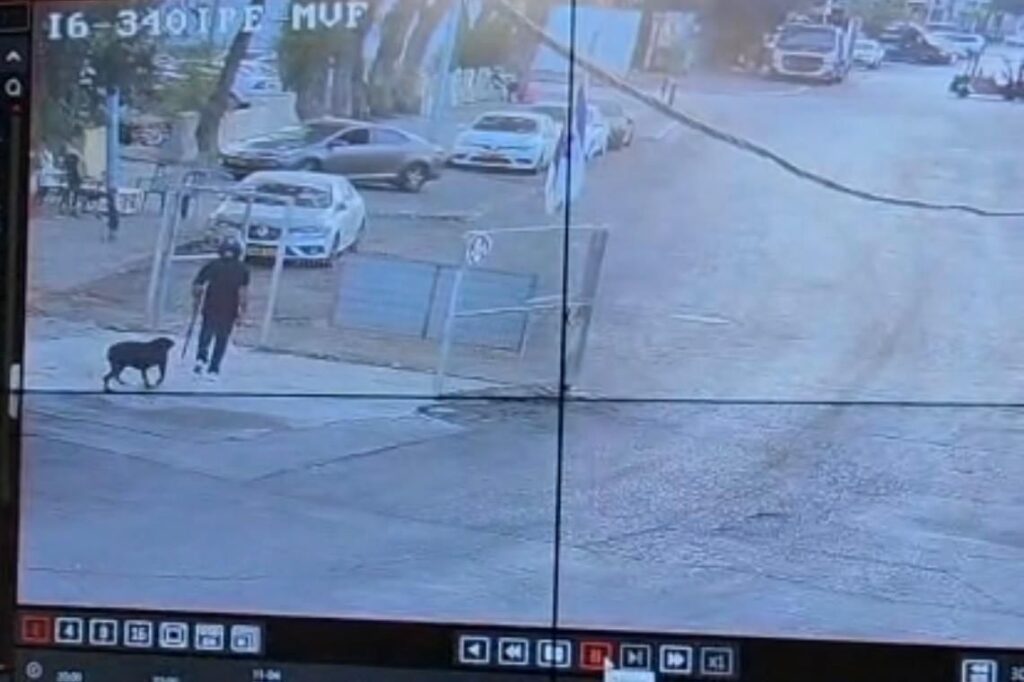 צילום ממצלמות האבטחה של לקיחת הכלב