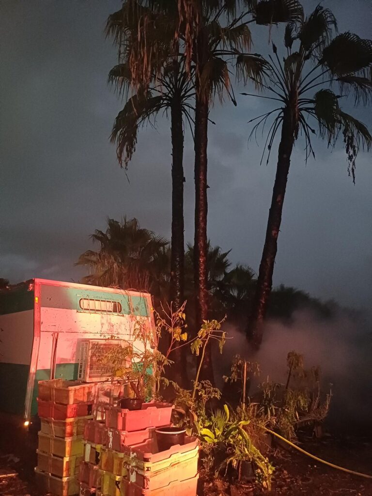 עץ עולה באש