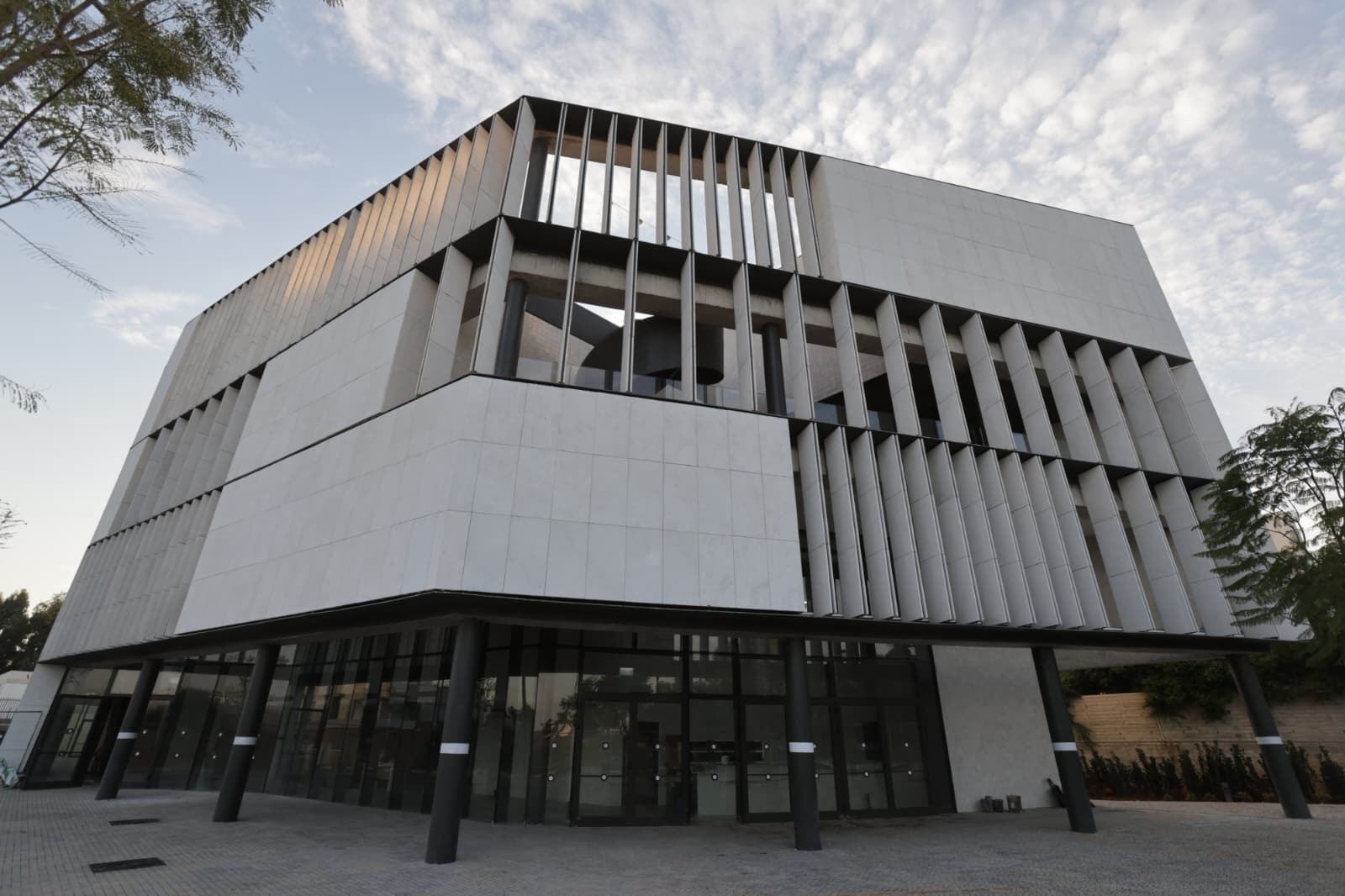 מבנה התרבות החדש