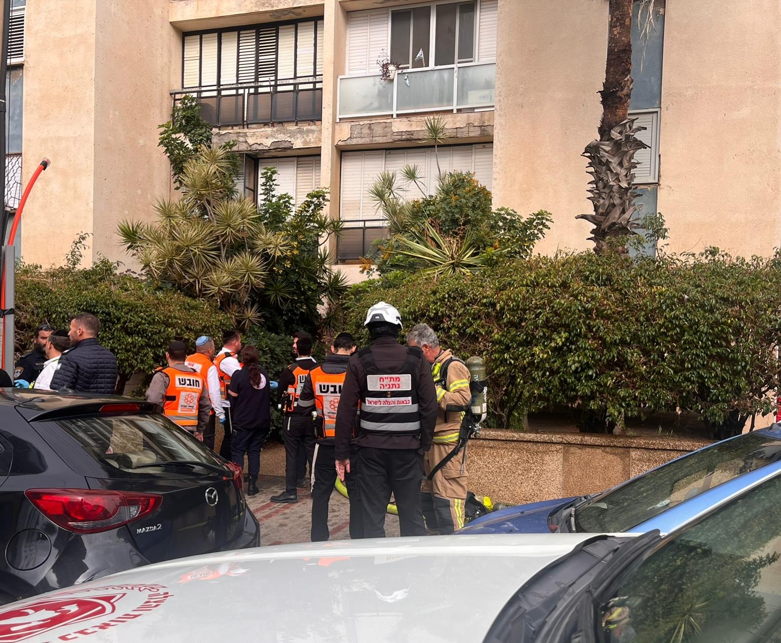 מפחלצים בזירה