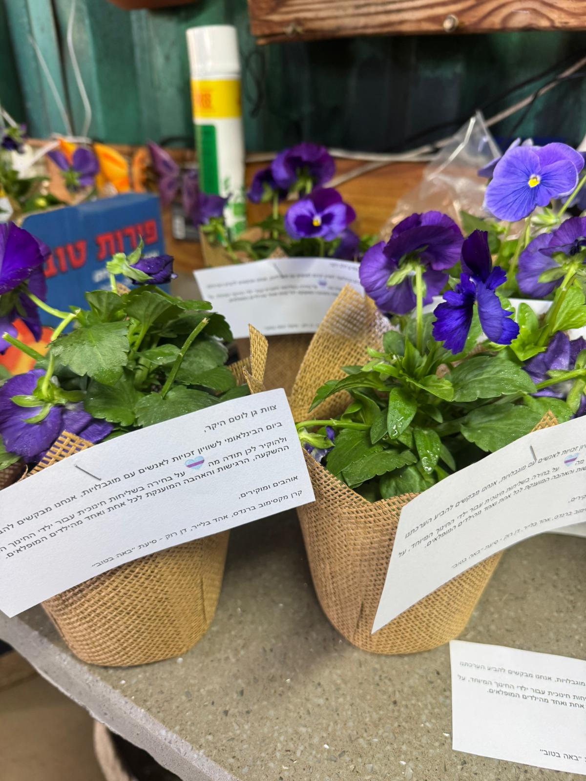 העציצים שחילקה האופוזיציה ברמת השרון