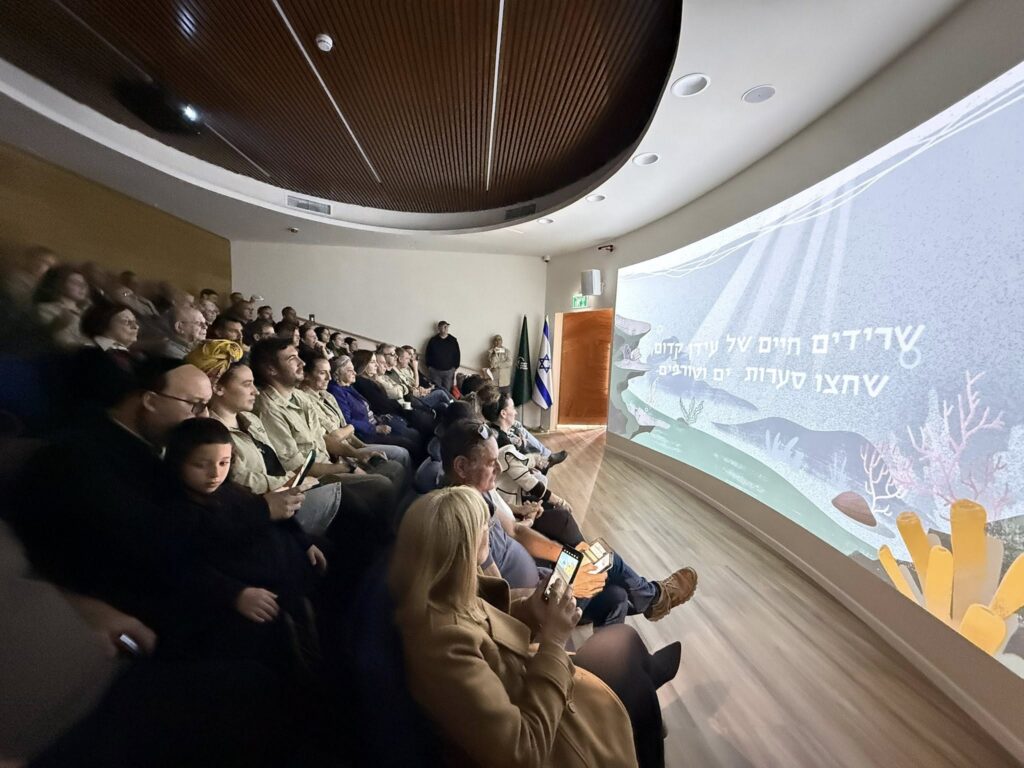 צפייה בסרט במרכז החדש