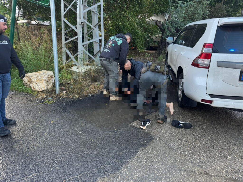 מעצר הגנבים