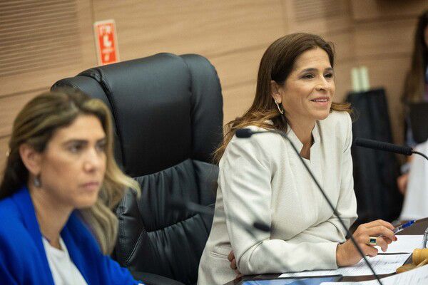 ח"כ מירב בן ארי