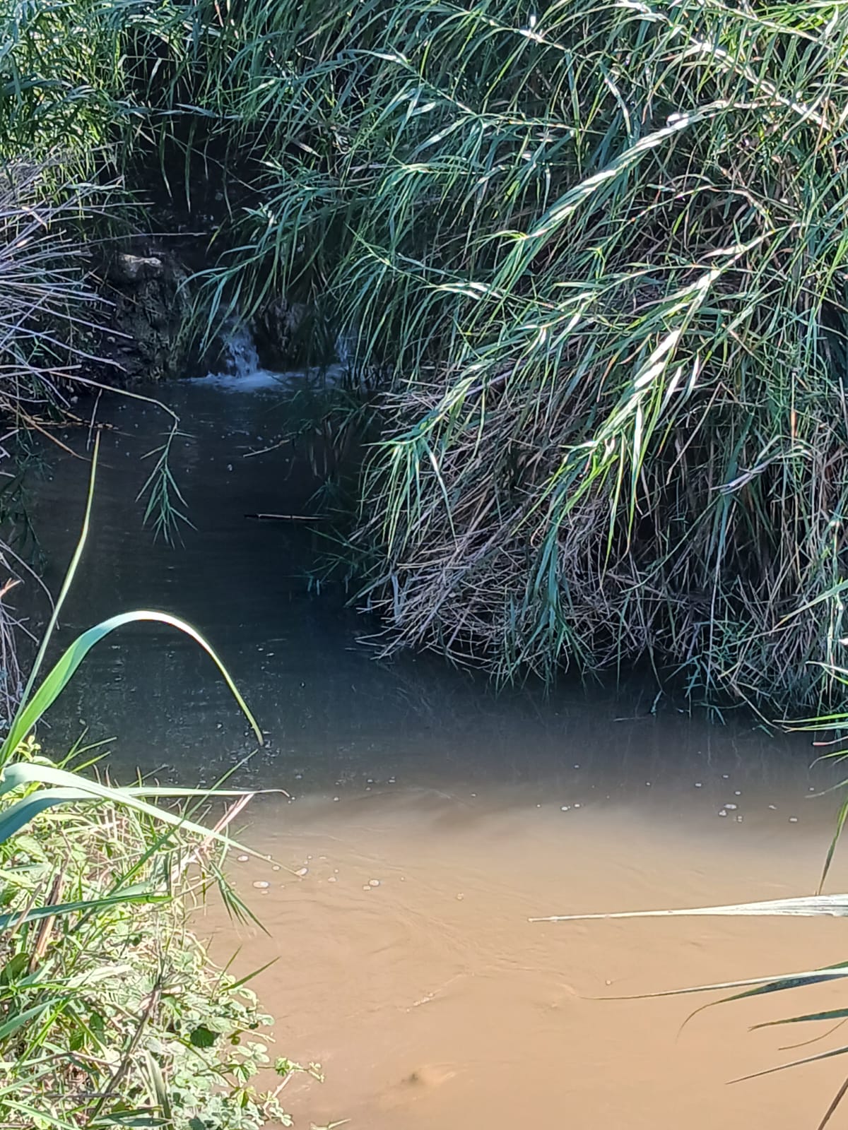נחל עין אביאל