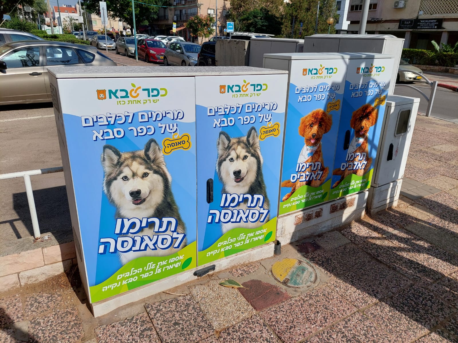 כלבים בקמפיין על ארונות חשמל ברחוב