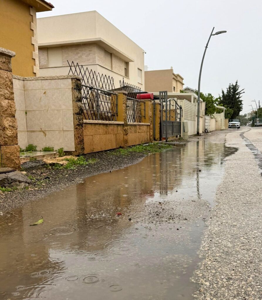 קרדיט צילום: עמית מורנו