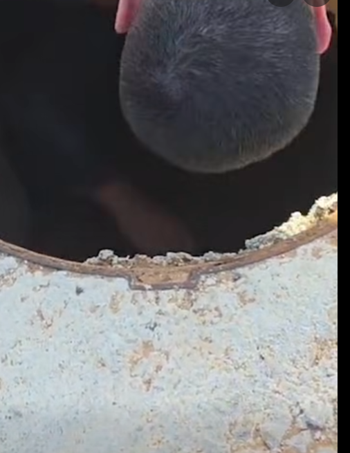 שבחים בביוב