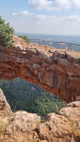 צילום: אלינור אמרה