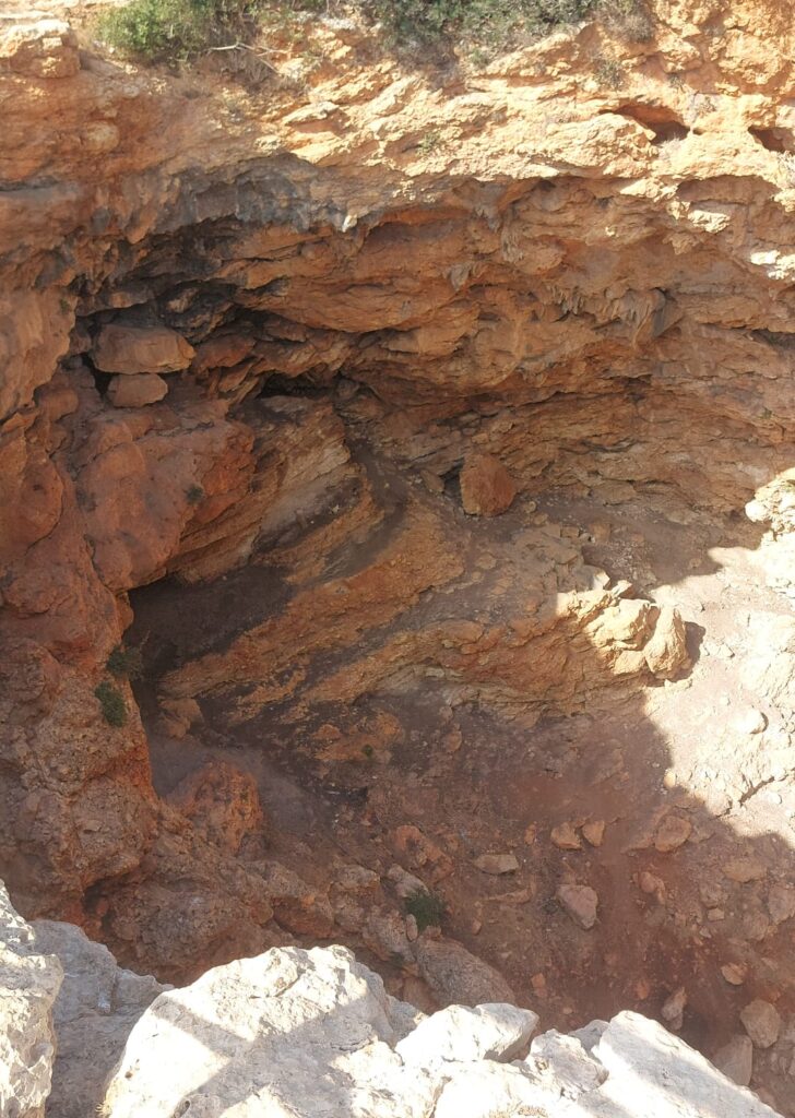 צילום: אלינור אמרה