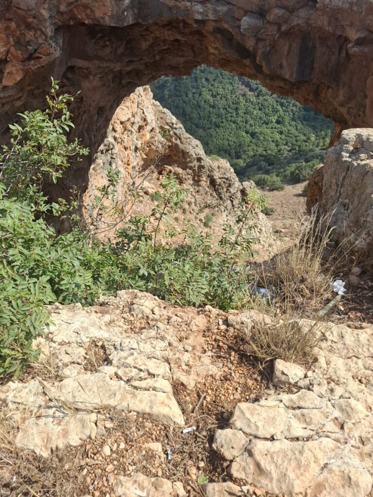 צילום: אלינור אמרה